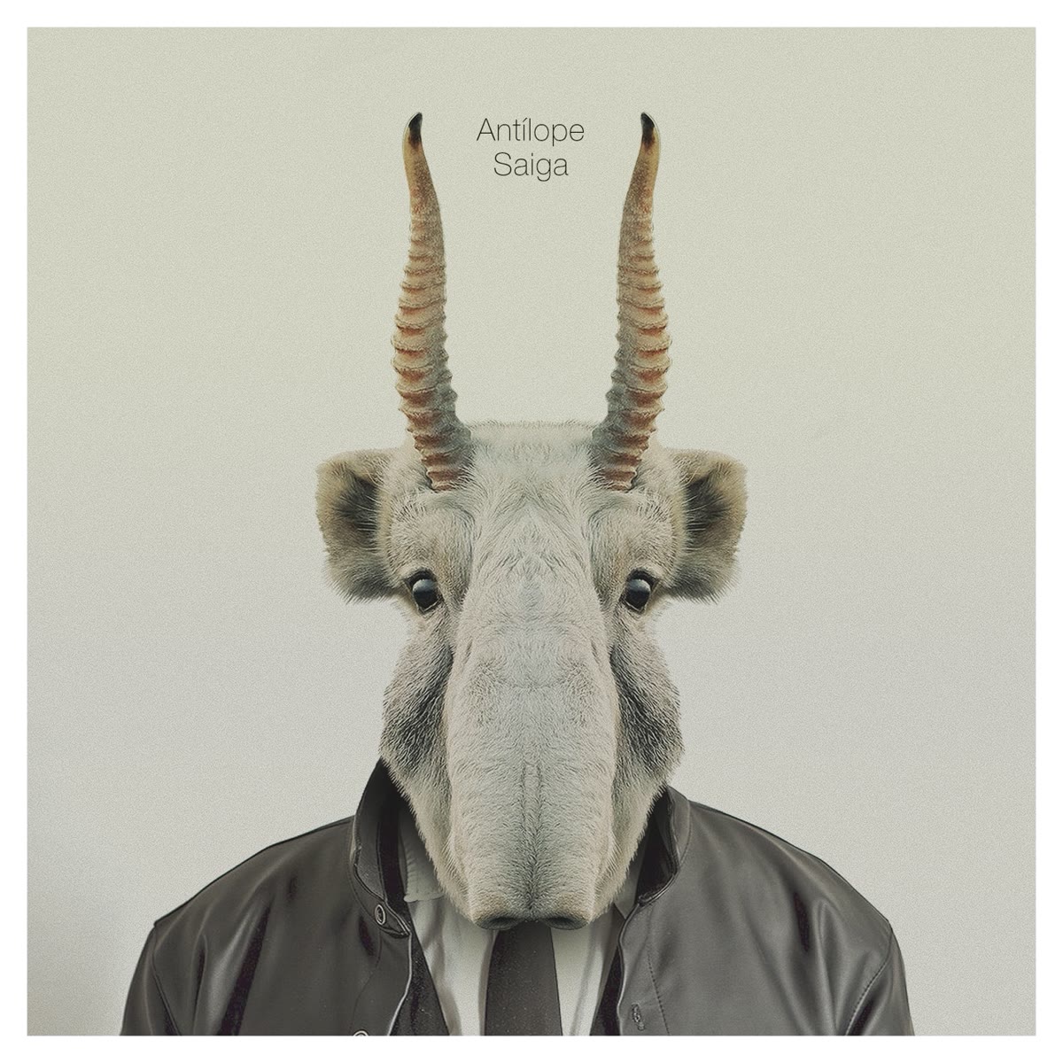 Portada de Caras y Monstruos, de Antílope Saiga